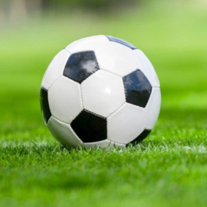 Premium Training Football