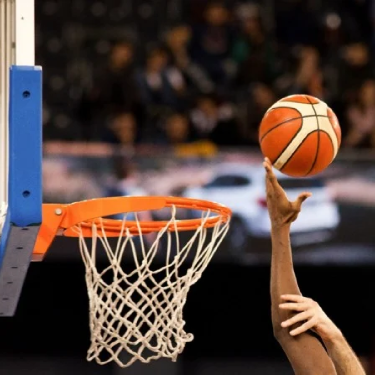 Premium Training Basketball