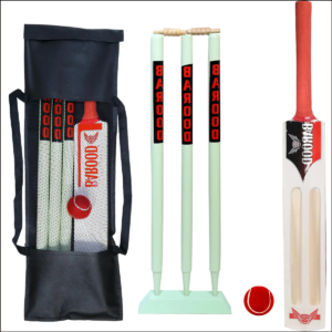 Premium Cricket Bat & Ball Set