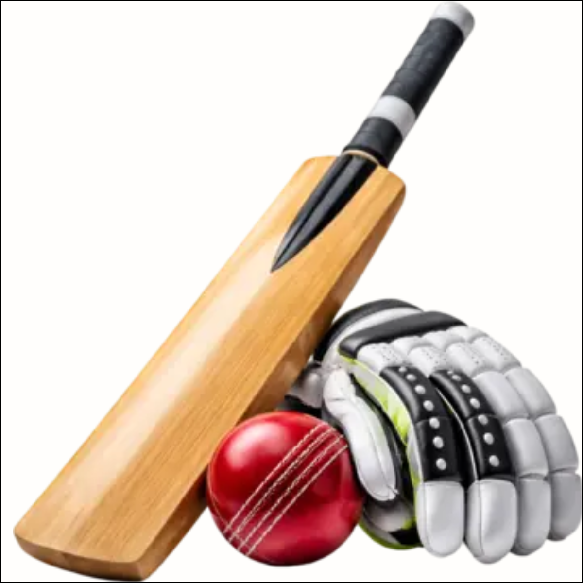 Premium Wooden Cricket Bat Set